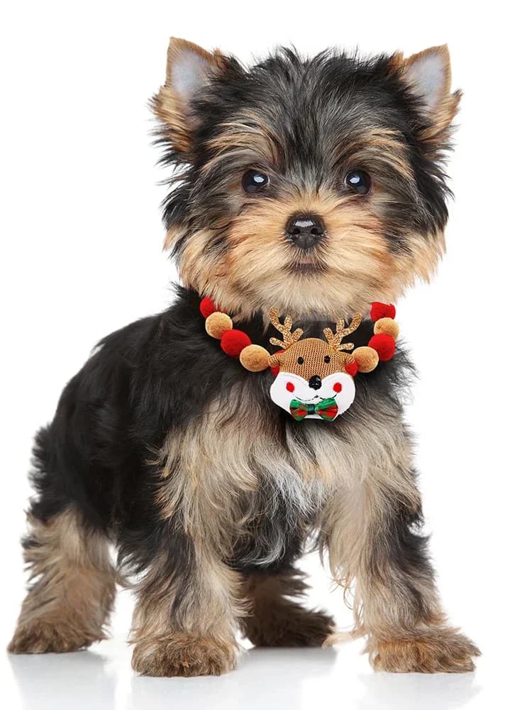 20pcs Dog Collar Christmas Dog Necklace Bowties For Small Dog Cat Bow Tie Collar Christmas Dog Grooming Accessories Pet Supplies