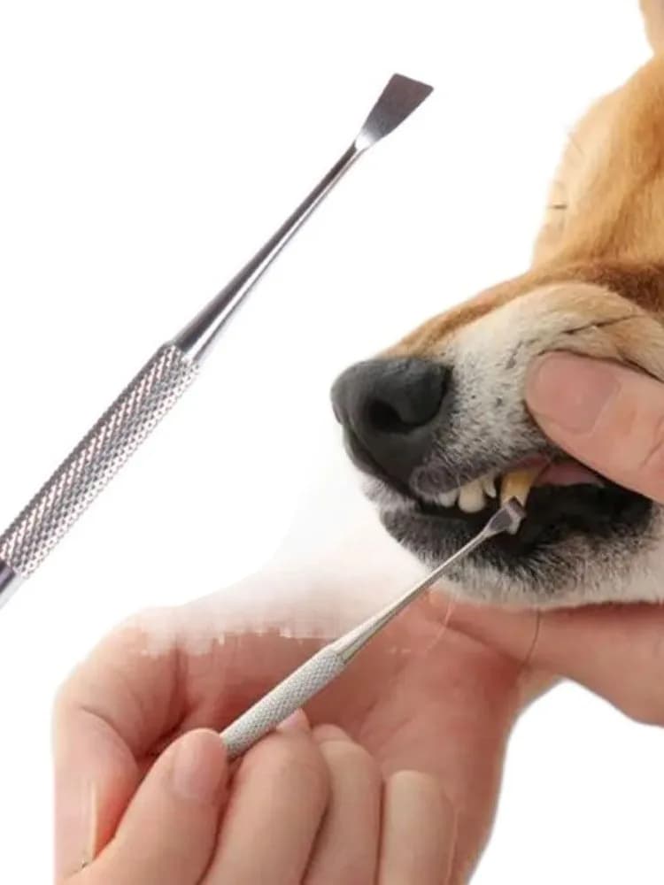 Pet Teeth Cleaning Tool Stainless Steel Double Head Tartar Calculus Remover Stick Dental Stones Scraper Teeth Care Supplies