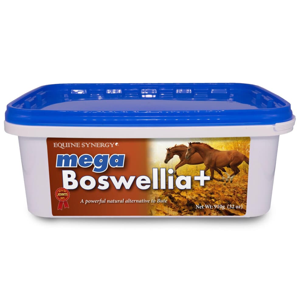 Equine Synergy MEGA BOSWELLIA + To Maintain Healthy Joints that are Free of Pain and Stiffness