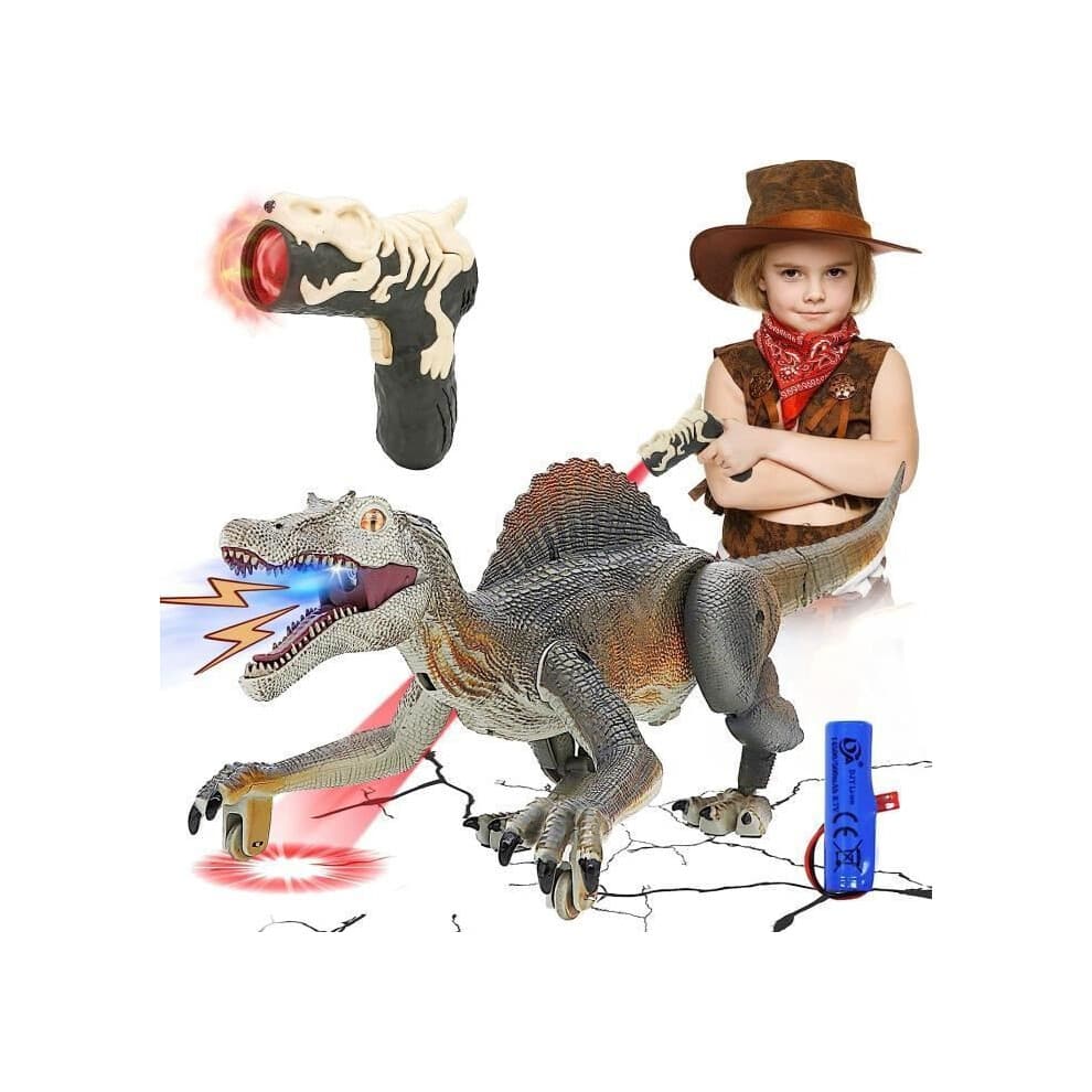 Remote Control Dinosaur Toy with LED Lights, Spray, Walking and Roaring, Grey, Realistic Kids Toy