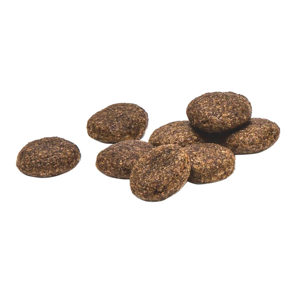 Plaqueoff Dental Bites Cats