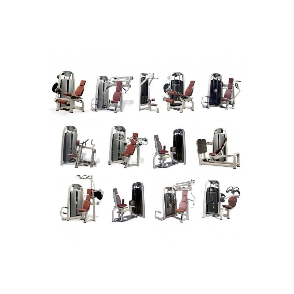 Technogym Selection Line 13 Piece Selectorised Strength Set Silver