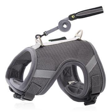 Reflective Padded Pet Harness with Handle and Leash for Dog, Cat - Size S - Grey