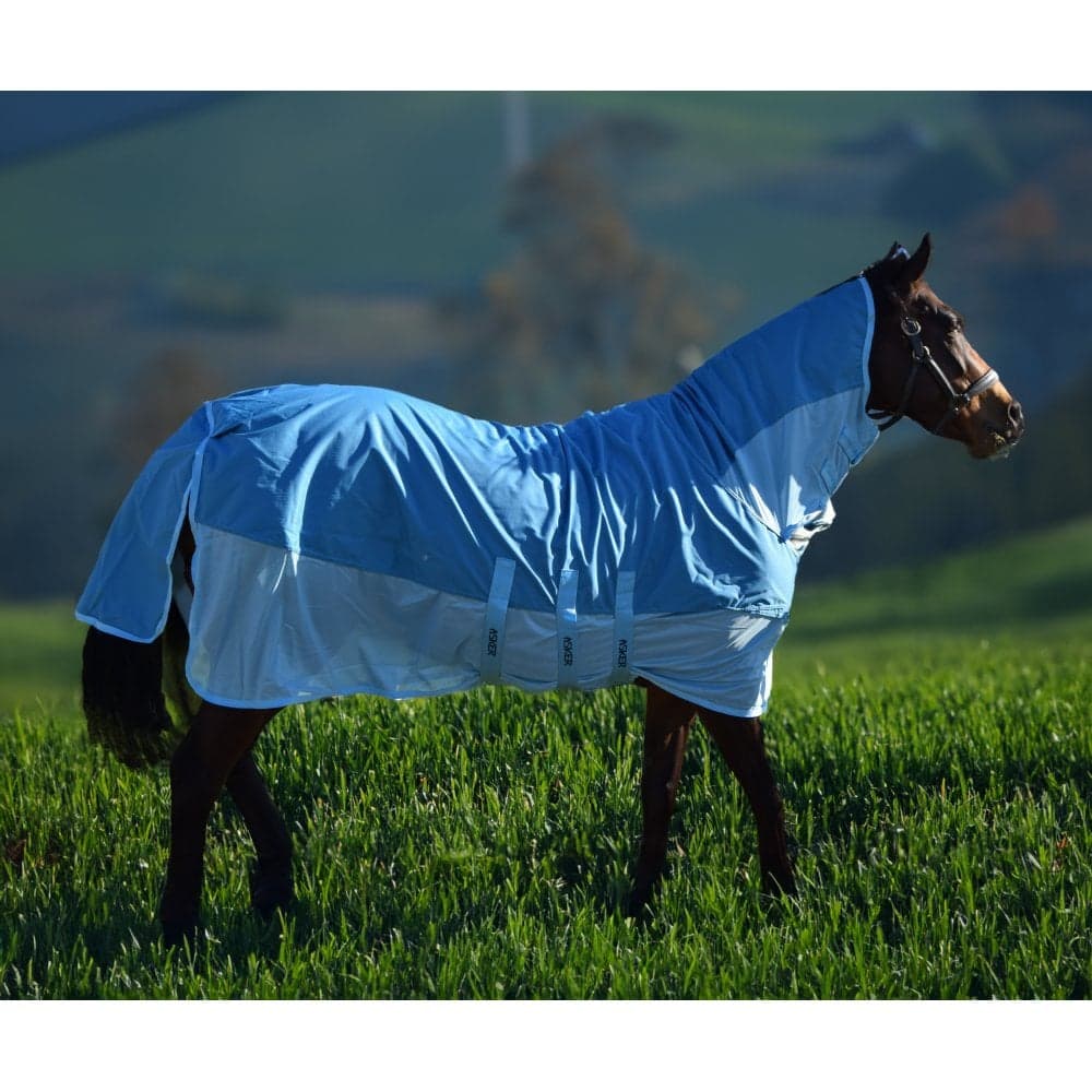 Asker Rain Waterproof Fly Combo Rug - Teal Size: 5ft0